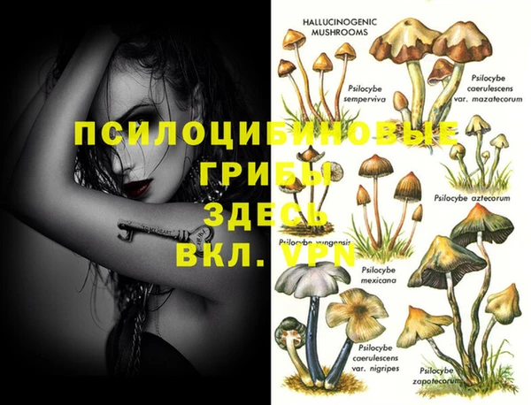 мяу мяу кристалл Липки