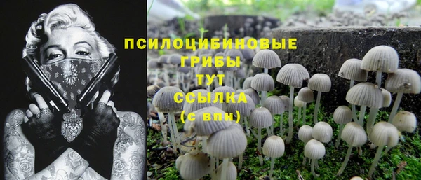 mdma Рославль