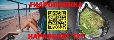 спиды Дубна